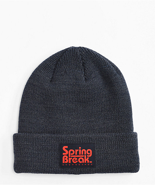 Capita Spring Break Dark Grey Beanie