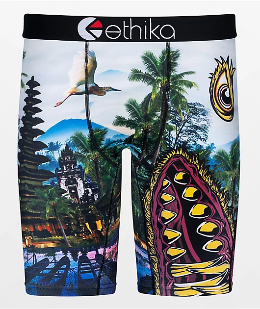Ethika BMR Primal Boxer Briefs
