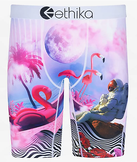 Ethika On Holiday Boxer Briefs