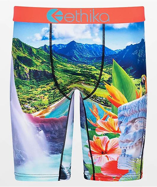 Ethika Island Time Boxer Briefs