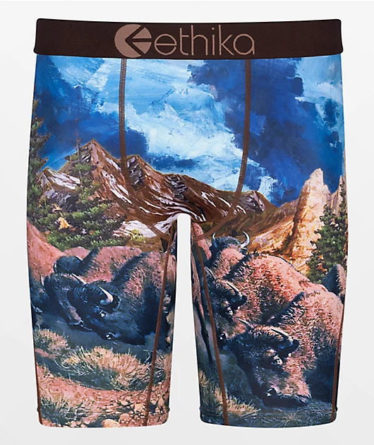 Ethika Two Bison Boxer Briefs