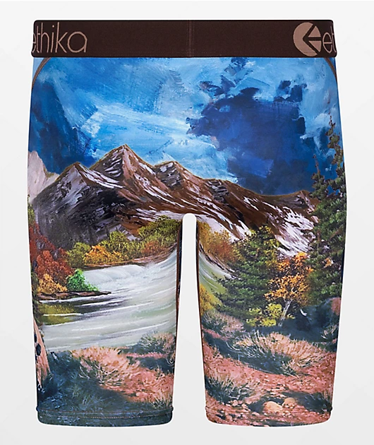 49646-ethika-two-bison-boxer-briefs-2.webp Ethika Two Bison Boxer Briefs
