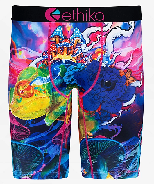 55841-ethika-euphoric-boxer-briefs-1.webp Ethika Euphoric Boxer Briefs