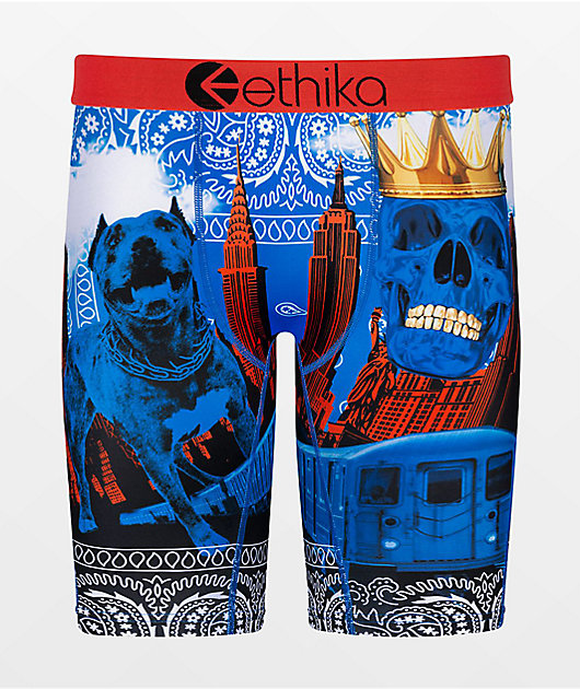 Ethika Kids This Tough Blue Boxer Briefs